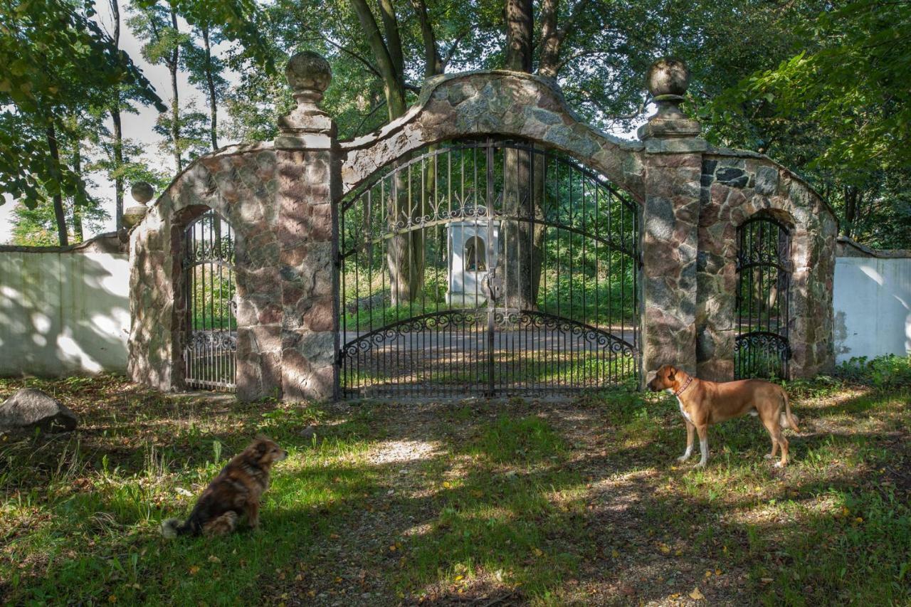 Гостевой дом Dom Lowczego Gnoyna Park Радзеёвице Экстерьер фото